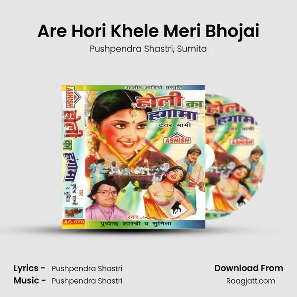 Are Hori Khele Meri Bhojai - Pushpendra Shastri album cover 