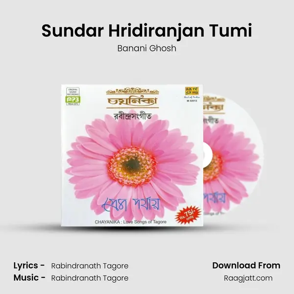 Sundar Hridiranjan Tumi - Banani Ghosh album cover 