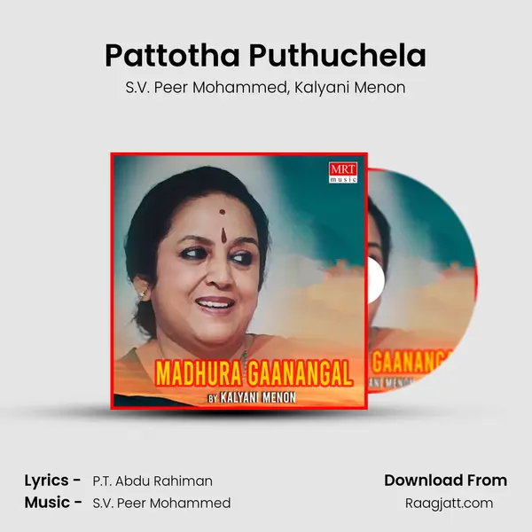 Pattotha Puthuchela - S.V. Peer Mohammed album cover 