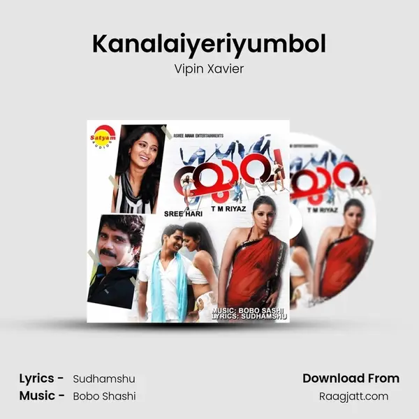 Kanalaiyeriyumbol - Vipin Xavier album cover 