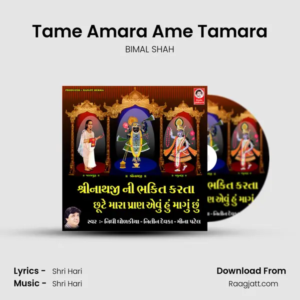 Tame Amara Ame Tamara - BIMAL SHAH album cover 