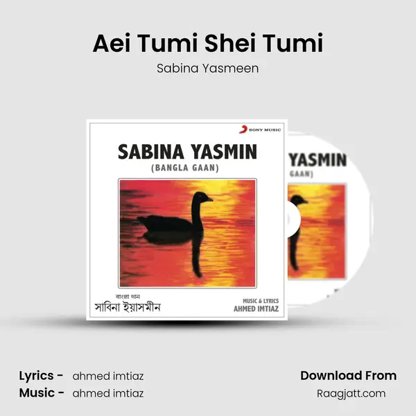 Aei Tumi Shei Tumi - Sabina Yasmeen album cover 