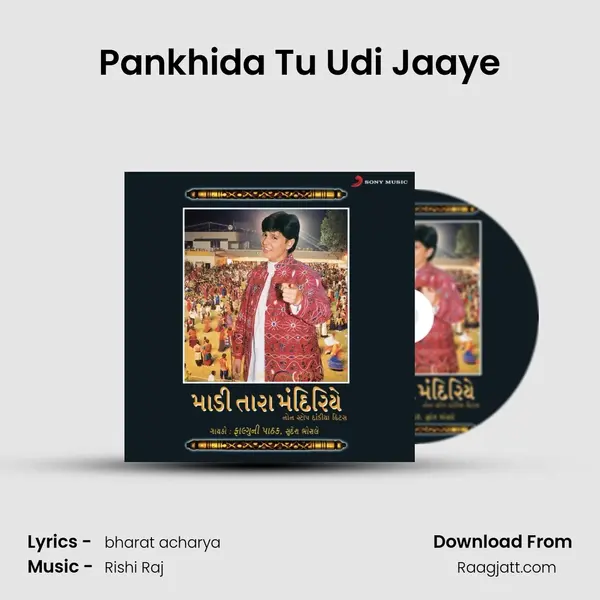 Pankhida Tu Udi Jaaye -  album cover 