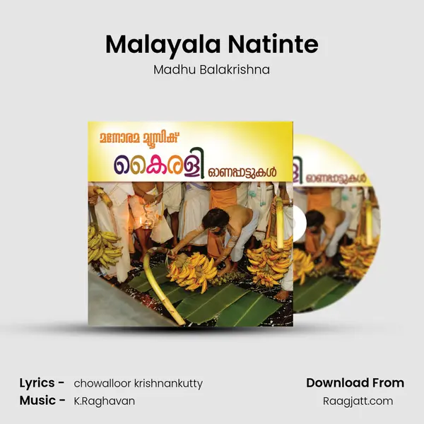 Malayala Natinte - Madhu Balakrishna album cover 