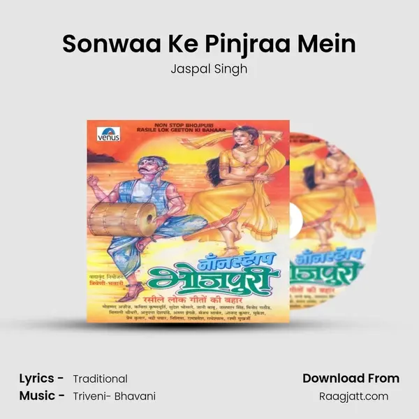 Sonwaa Ke Pinjraa Mein mp3 song