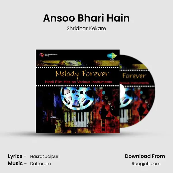 Ansoo Bhari Hain - Shridhar Kekare album cover 