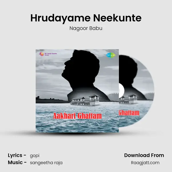 Hrudayame Neekunte - Nagoor Babu album cover 