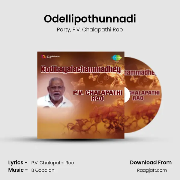 Odellipothunnadi - Party album cover 