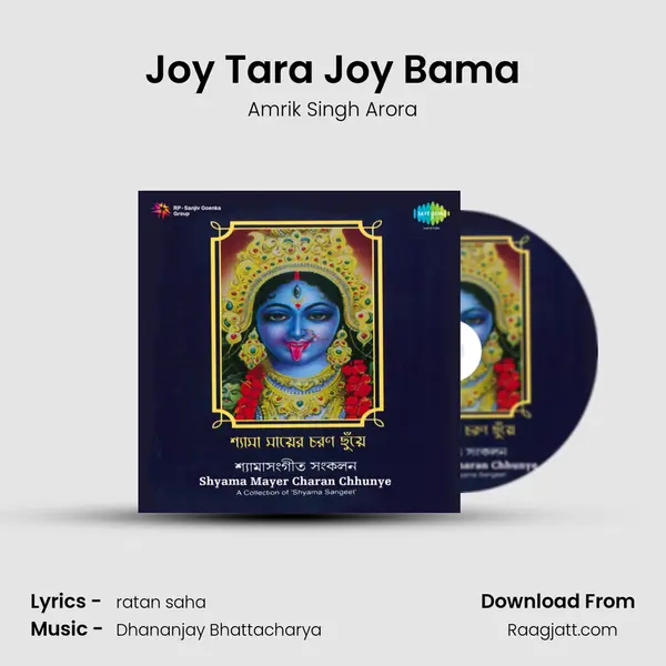 Joy Tara Joy Bama - Amrik Singh Arora album cover 