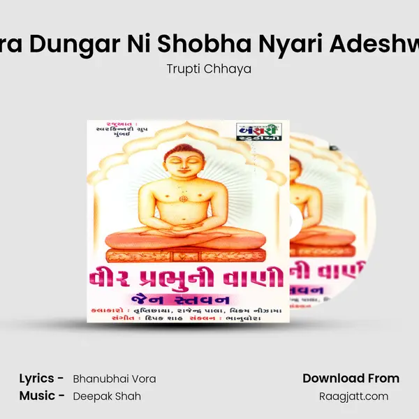 Tara Dungar Ni Shobha Nyari Adeshwer - Trupti Chhaya album cover 