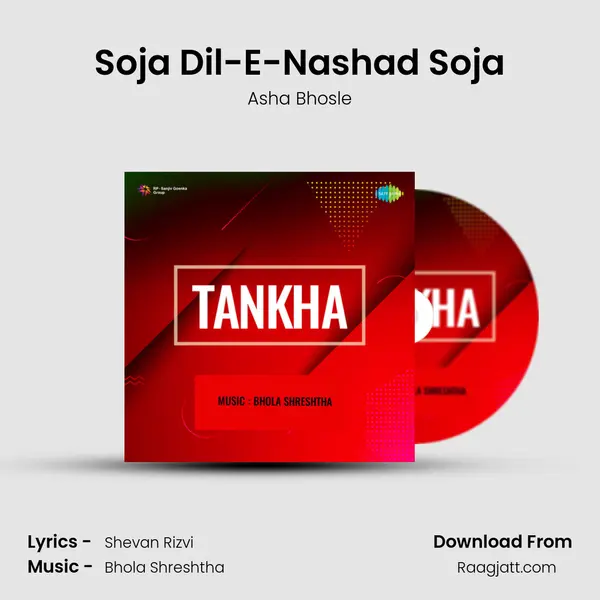 Soja Dil-E-Nashad Soja mp3 song