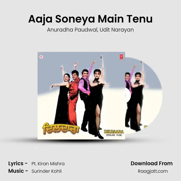 Aaja Soneya Main Tenu - Anuradha Paudwal album cover 