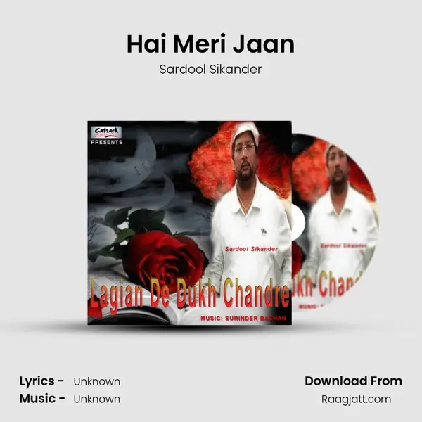 Hai Meri Jaan - Sardool Sikander album cover 