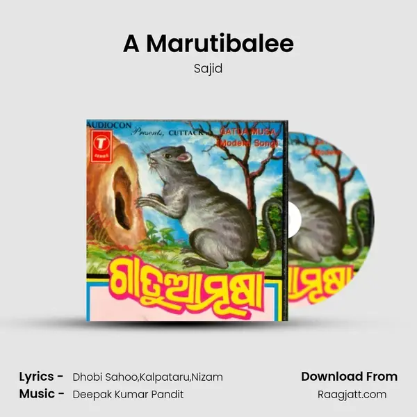 A Marutibalee - Sajid album cover 