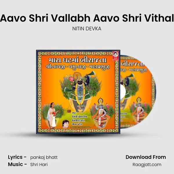 Aavo Shri Vallabh Aavo Shri Vithal - NITIN DEVKA album cover 