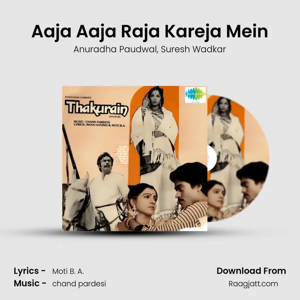 Aaja Aaja Raja Kareja Mein - Anuradha Paudwal album cover 