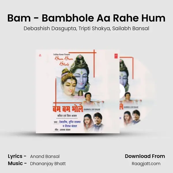 Bam - Bambhole Aa Rahe Hum - Debashish Dasgupta album cover 