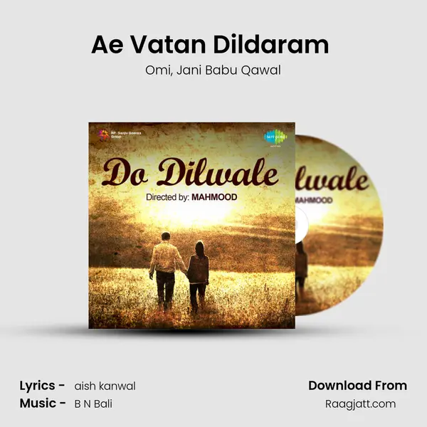 Ae Vatan Dildaram (Part 2) - Omi album cover 