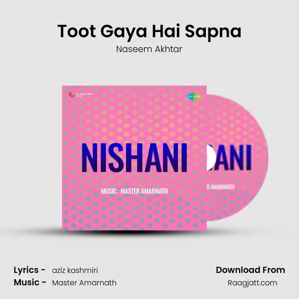 Toot Gaya Hai Sapna mp3 song