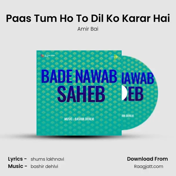 Paas Tum Ho To Dil Ko Karar Hai - Amir Bai album cover 