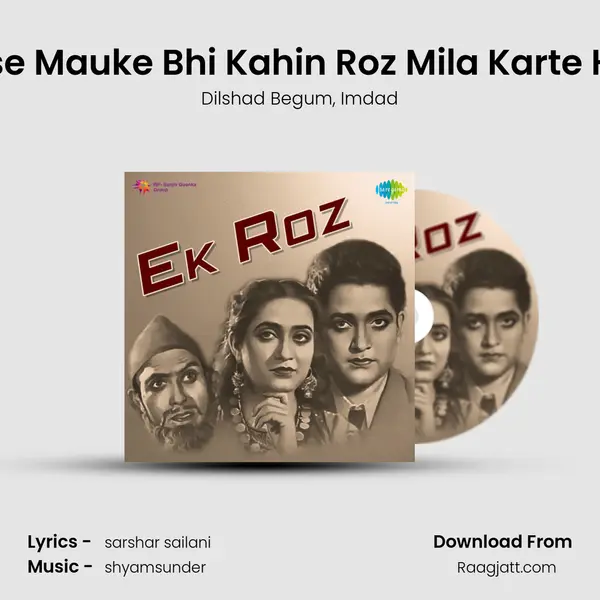 Aise Mauke Bhi Kahin Roz Mila Karte Hai mp3 song