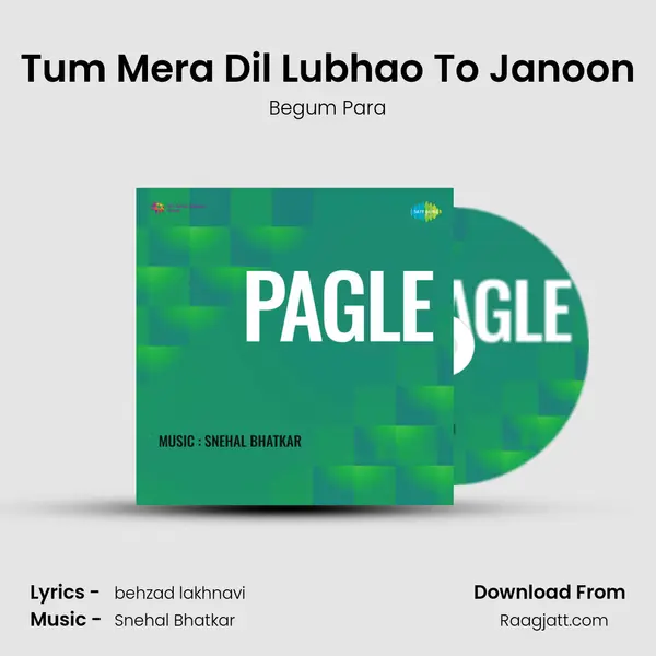 Tum Mera Dil Lubhao To Janoon - Begum Para album cover 